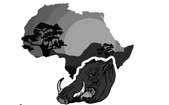 cropped screenshot 2024 03 04 at 20 50 49 african pu 1 .pdf modified removebg preview